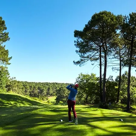 Les Pins - Domaine Du Golf - T2 Dans Avec Piscine Collective Chauffee Mae-8341